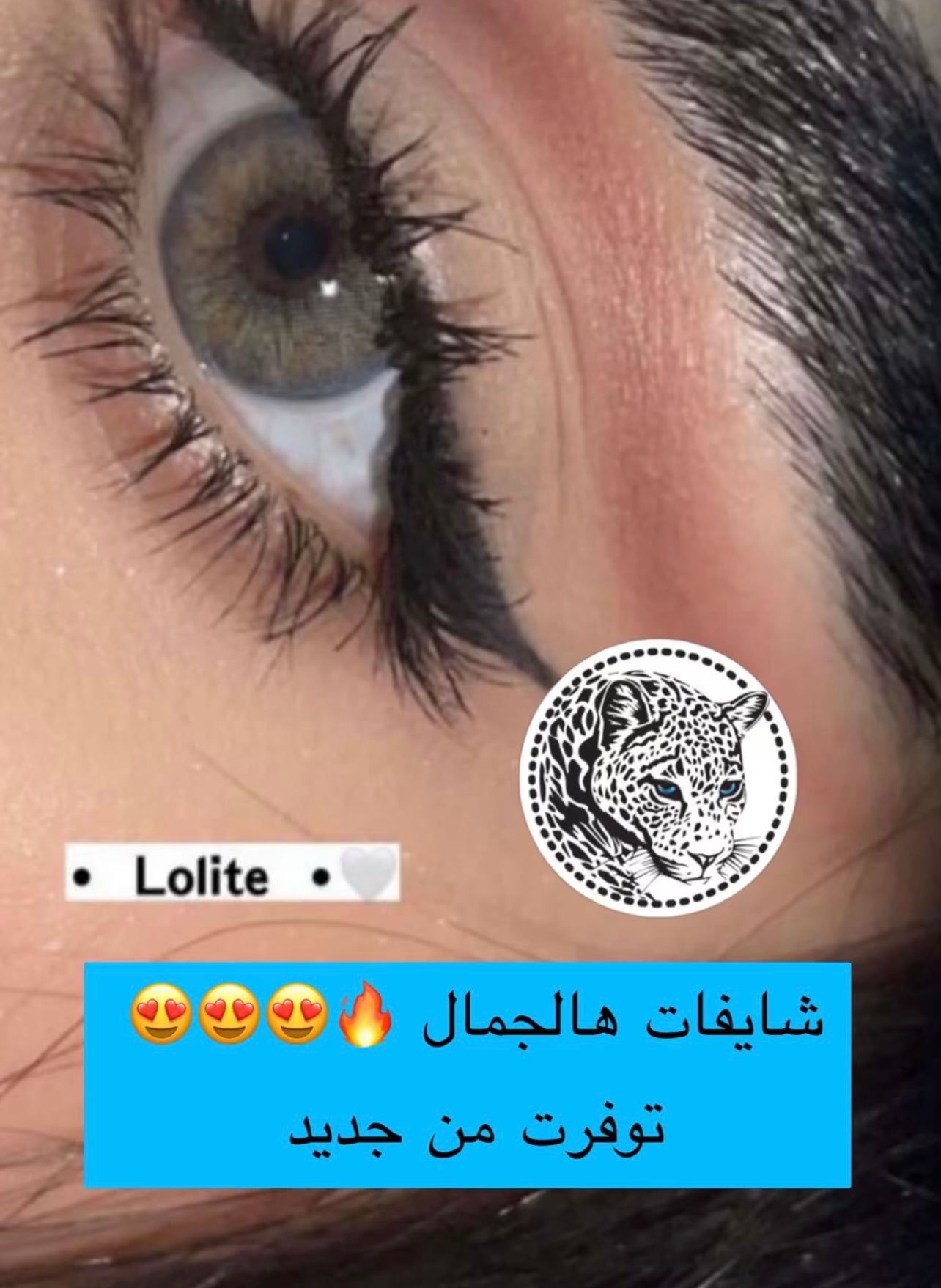 عدسه لاصقه فريش ليدي lolite