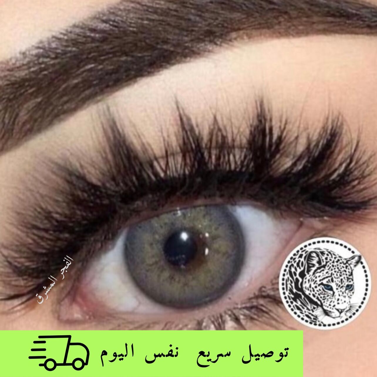 عدسه لاصقه فريش ليديRussian gray